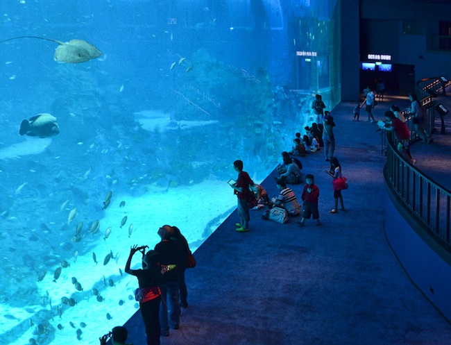 SEA Aquarium